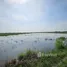  Land for sale in Ban Ko, Phra Nakhon Si Ayutthaya, Ban Ko, Phra Nakhon Si Ayutthaya, Phra Nakhon Si Ayutthaya