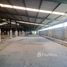  Warehouse for rent in Pathum Thani, Na Mai, Lat Lum Kaeo, Pathum Thani