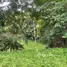  Land for sale in Koh Samui Surat Thani, Lipa Noi, Koh Samui
