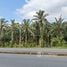  Land for sale in Don Sak, Surat Thani, Pak Phraek, Don Sak