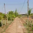  Land for sale in Kusuman, Sakon Nakhon, Kusuman, Kusuman, Sakon Nakhon, Thailand