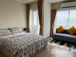 Студия Квартира в аренду в Hay Hua Hin, Нонг Кае, Хуа Хин, Прачуап Кири Кхан