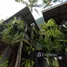  Land for sale in Phanom Surat Thani, Phanom, Phanom, Surat Thani