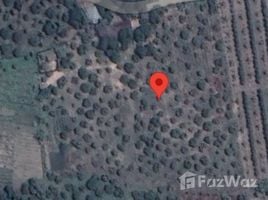  Land for sale in Chiang Mai, Mae Ngon, Fang, Chiang Mai