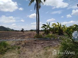 北标 Khok Sawang Land for sale for 10 Rai N/A 土地 售 