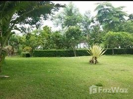 5 Bedrooms House for sale in Thung Tom, Chiang Mai House With Land 2 Rai Roadside