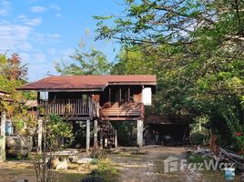  Land for sale in Thailand, Nong Phayom, Taphan Hin, Phichit, Thailand