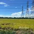  Land for sale in Khok Faet, Bangkok, Khok Faet, Nong Chok, Bangkok