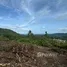  Land for sale in Thailand, Na Mueang, Koh Samui, Surat Thani, Thailand