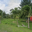 在墨西哥出售的 土地, Othon P Blanco, Quintana Roo, 墨西哥