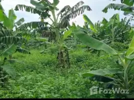  Terreno (Parcela) en venta en Pucacaca, San Martín, Pucacaca, Picota, San Martín, Perú