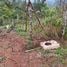  Land for sale in Jimenez Cartago, Jimenez, Cartago