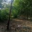  Земельный участок for sale in Bang Nam Priao, Chachoengsao, Bang Nam Priao, Bang Nam Priao