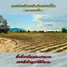  Terreno (Parcela) en venta en Nikhom Phatthana, Rayong, Nikhom Phatthana