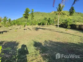 ขายที่ดิน ใน ปากน้ำปราณ, หัวหิน, ปากน้ำปราณ, ปราณบุรี, ประจวบคีรีขันธ์