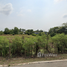 ナコンパトム で売却中 土地区画, Khok Phra Chedi, ナホン・チャイ・シー, ナコンパトム
