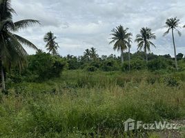  Terrain for sale in Surat Thani, Makham Tia, Mueang Surat Thani, Surat Thani