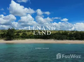  Grundstück zu verkaufen in Loli, East Nusa Tenggara, Loli