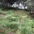  Terreno (Parcela) en venta en Antioquia, Guarne, Antioquia