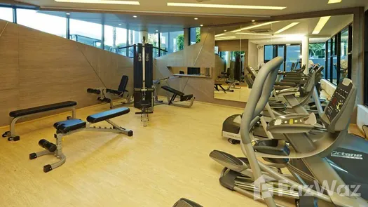 图片 1 of the Communal Gym at Acqua Condo