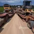  Terreno for sale in Amazonas, Novo Aripuanã, Amazonas