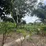  Land for sale in Taling Ngam, Surat Thani, Taling Ngam, Koh Samui