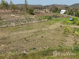 ขายที่ดิน ใน เชียงใหม่, ห้วยทราย, แม่ริม, เชียงใหม่
