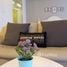 MODE Sukhumvit 61에서 임대할 1 침실 아파트, Khlong Tan Nuea, Watthana, 방콕