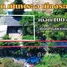  Земельный участок for sale in Noen Phra, Районг, Noen Phra