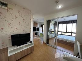 1 спален Кондо в аренду в Plus Condo Hatyai 2, Hat Yai, Hat Yai, Songkhla