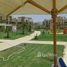 2 غرفة نوم شقة للإيجار في Palm Parks Palm Hills, South Dahshur Link, مدينة 6 أكتوبر