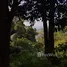  Land for sale in Kathu Phuket, Kathu, Kathu, Phuket