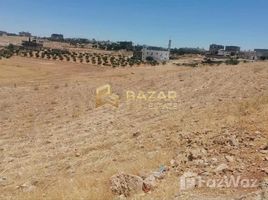  Земельный участок на продажу в Mohamed Bin Zayed City, Mussafah Industrial Area, Mussafah, Абу-Даби, Объединённые Арабские Эмираты