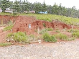  Terreno for sale in Rio Grande do Sul, Sapiranga, Sapiranga, Rio Grande do Sul