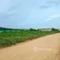  Land for sale in Map Kha, Rayong, Map Kha, Nikhom Phatthana