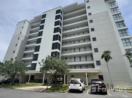 2 Bedroom Apartment for rent at The Ocean Suites, Hoa Hai, Ngu Hanh Son, Da Nang, Vietnam