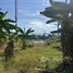  Land for sale in Phangnga, Khuek Khak, Takua Pa, Phangnga