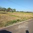  Land for sale in Buri Ram, Chorakhe Mak, Prakhon Chai, Buri Ram