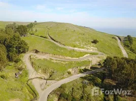  Terreno (Parcela) en venta en Cardenal Caro, Libertador General Bernardo O'Higgins, Navidad, Cardenal Caro