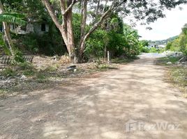  Land for sale in Phuket Town, Phuket, Wichit, Phuket Town