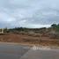  Land for sale in Khlong Muang, Nakhon Ratchasima, Khlong Muang, Pak Chong, Nakhon Ratchasima