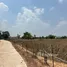  Land for sale in Maha Sarakham, Tha Khon Yang, Kantharawichai, Maha Sarakham