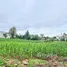  Land for sale in Kan Chu, Phetchabun, Kan Chu, Bueng Sam Phan, Phetchabun, Thailand