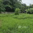  Land for sale in Pa Tan, Chiang Mai, Pa Tan, Mueang Chiang Mai, Chiang Mai, Thailand