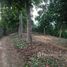  Land for sale in Thailand, Lae, Thung Chang, Nan, Thailand