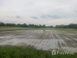  Grundstück zu verkaufen in Mueang Khon Kaen, Khon Kaen, Phra Lap, Mueang Khon Kaen, Khon Kaen, Thailand