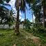  Land for sale in Huai Nam Khao, Krabi, Huai Nam Khao