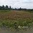  Land for sale in Koh Samui, Bo Phut, Koh Samui