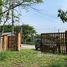  Земельный участок for sale in Ban Waen, Чианг Маи, Ban Waen