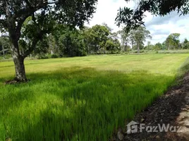  Land for sale in Phra Samut Chedi, Samut Prakan, Laem Fa Pha, Phra Samut Chedi